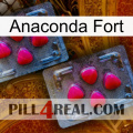 Anaconda Strong 14